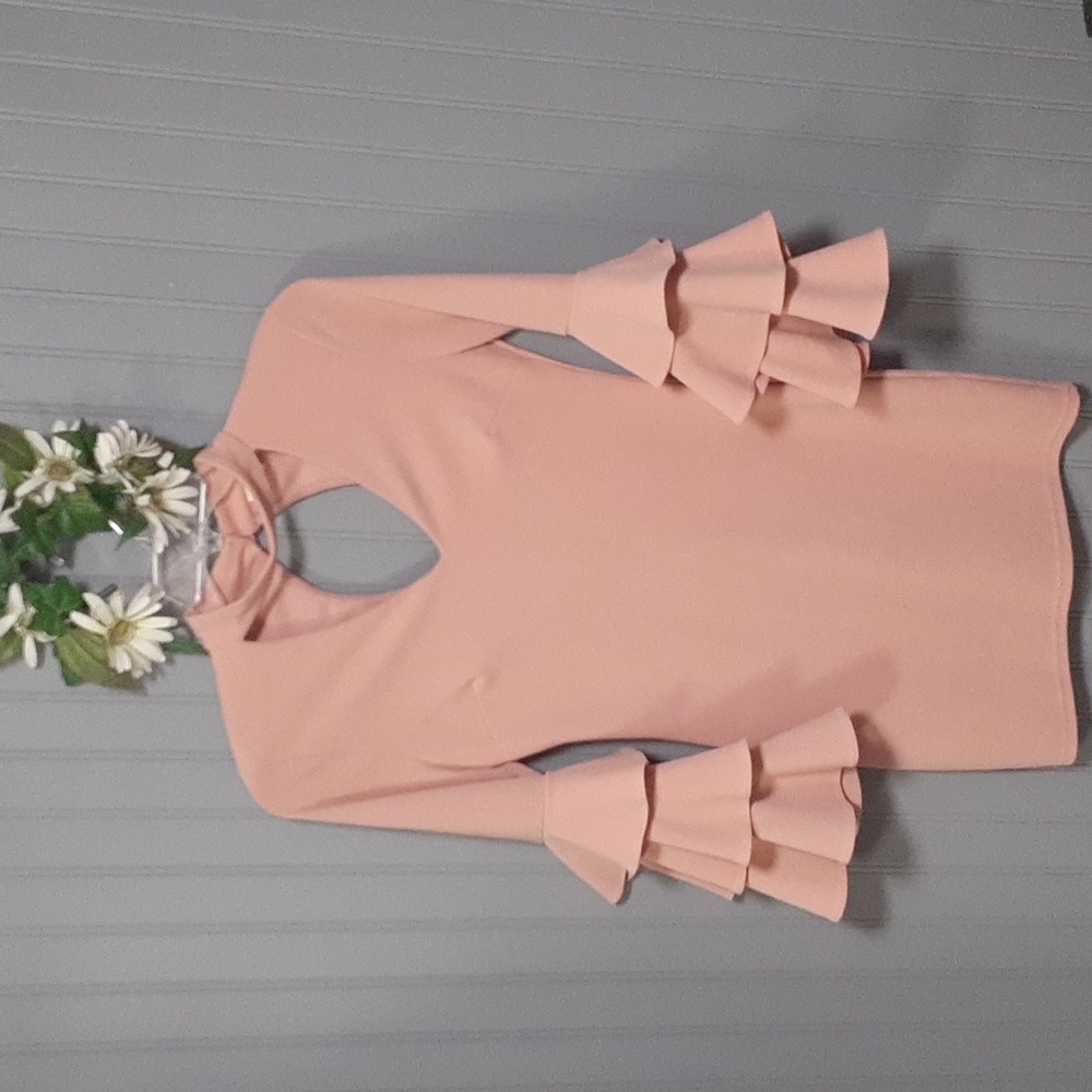 Jealous Tomato Bell Sleeve Dress - Picture 1 of 10